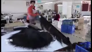 lanqi hair factory show