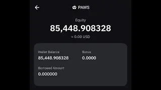 How to Check PAWS Airdrop on Bybit & Bitget &ndash; Wallet Deposits Are Live!
