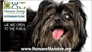 Humane Society of Manatee County Veterinary Clinic - Open to the Public