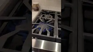Cooking is never boring in a kitchen with BOSCH appliances and a THERMADOR cooktop #kitchenremodel