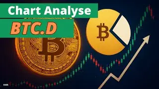 Bitcoin Dominanz - sind wir noch im Plan? Update KW03/'26