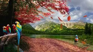 Beautiful Nature scenery | Nature Sound, Video, hummingbird, butterfly, river, wooden Hut,