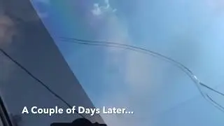 Tesla Owners Should Avoid Safelite