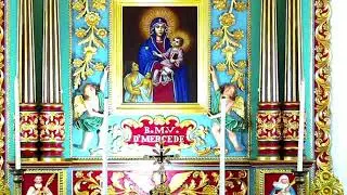 15 JANUARY 2026 - 05.30PM| LIVE HOLY MASS  ||  VALLARPADAM SHRINE BASILICA