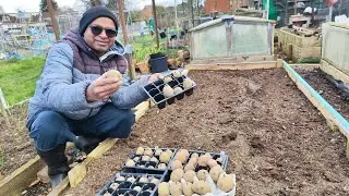 MARCH ~ Potato Planting              #allotment #allotmentlife #allotments #allotmentdiary #amersham