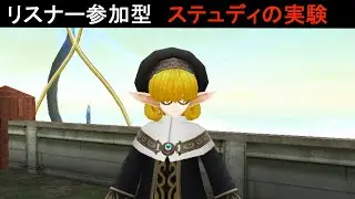 Lv???：行く場所はリーダーの一存【トーラムオンライン】