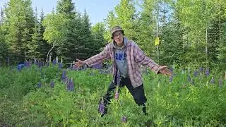 Don't Forget Your Bug Spray! Trail Talk Plant Updates 6-12-2023