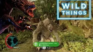 Middle Earth: Shadow of War - Wild Things Achievement/Trophy Guide - What Skills/Locations To Use