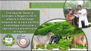 Balance Energético Negativo y Estrategias del Manejo en la Vaca Lechera en Producción.