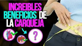 🌾 DESCUBRE LOS BENEFICIOS DE LA CARQUEJA 🌾 | Una planta con propiedades sorprendentes