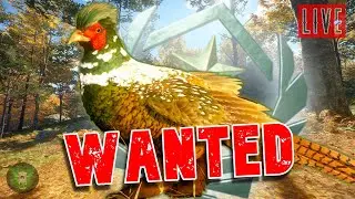 🔴LIVE! Day 104 on the Pheasant Grind, is Today the Day!?