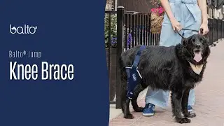 Balto Brace Jump | Knee Brace