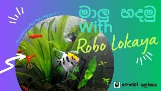 විසිතුරු මසුන් සදහා ටැංකි 1 කොටස