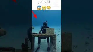 اللہ اکبر☝🏻😱😭 | miracle of allah | allah kay nishan | allah ka mojza | #shorts#virl#virlvideos#