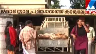 More Panchayath come forward in action against stray dog menace  | Manorama News