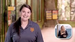 Elementary School Field Trip to the Maryland Zoo ASL