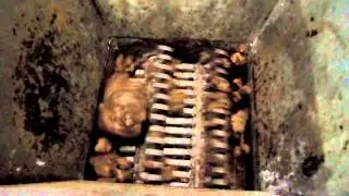 Frozen Peat Moss being crushed in Lump Breaker