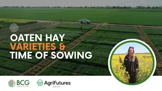Oaten Hay Varieties and Time of Sowing Trial Video