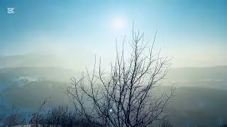 29 января 2026 г.
