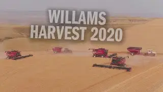 Williams Brothers Wheat Harvest 2020 - Aerial Reel