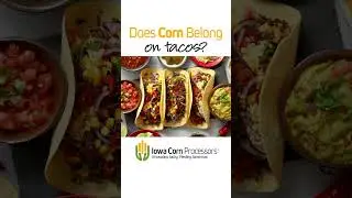 🌽🔥 The Great Corn Debate | Where Do You Stand?