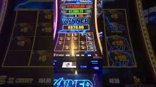Buffalo Lightning ⚡️ Strike Major #slot #jackpot #allidoiswin1 #buffalo #cash #lowbet