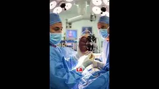 Ri&ntilde;&oacute;n Bi&oacute;nico: El Futuro de la Nefrolog&iacute;a | Dr. Wade Lewin Ur&oacute;logo