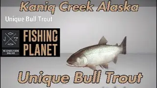 Unique Bull Trout - Kaniq Creek Alaska - Fishing Planet Guide