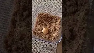 Размягчите твердый коричневый сахар