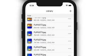 Renaming and Copying Images in the FLIR Tools App