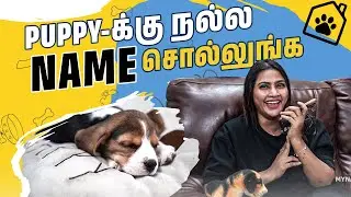 எங்க வீட்டு செல்ல குட்டி❤️🐕 | Puppy-க்கு என்ன Name தெரியுமா?😂 | Myna Wings