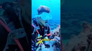 Open Your Mouth If You See This Fish #shorts #shortvideo #fishing