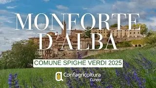 Comuni Spighe Verdi 2025: sesta conferma per Monforte d'Alba, eccellenza nella sostenibilit&agrave;