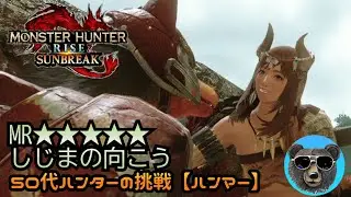 しじまの向こう【オオナズチ】50代ハンターぼっち攻略中【MH RISE SUNBREAK】