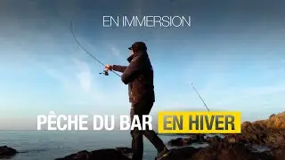 P&ecirc;che du bar du bord en hiver en immersion depuis les roches