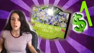 Forget me not $1 Grow  Kit