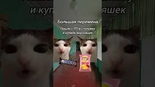 если вам понравится то буду делать и другие дни недели #мем #шура #жиза #анимация #смех #котики