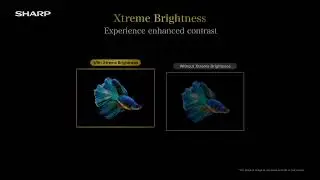 SHARP AQUOS XLED Brightness Demo Video 4K HDR