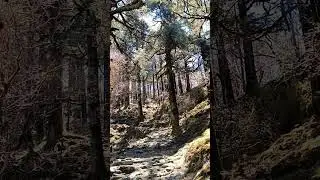 Your sign to get closer to nature