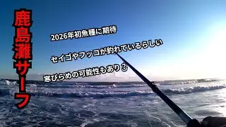 【鹿島灘】セイゴ・フッコが湧いている？？