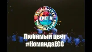 Любимый цвет #КомандаЕСС