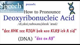 How to Pronounce Deoxyribonucleic Acid (DNA)