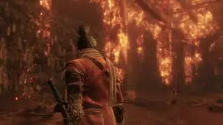 Sekiro Finally Defeated Lady Butterfly