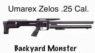 Umarex Zelos .25 Cal. First shots.