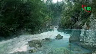 Morning Relaxing Himalayan Flute Music, 1st Feb' 2026
