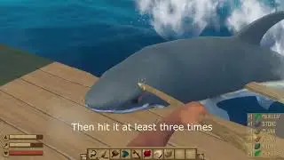 How to defend your raft against shark attacks using spear