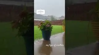 i've been enjoying the rainy weather lately. so peaceful 🌱