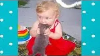 Funny Endless Battles Between Cat vs Baby 😍Cute Cats😍Top Funny Pets 🐱🐱