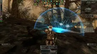 Darkfall Online - Ninogan Group Mage PvP - FU*KING CONFUSIONS HOW DO THEY WORK?