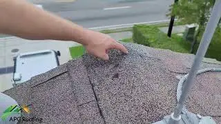 Granule loss on a shingle roof